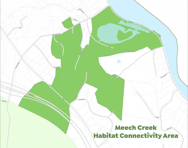 Masp of the lots that are part of the Meech Creek habitat connectivity area in the Farm Point sector